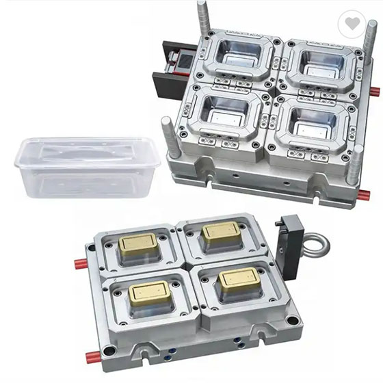 Plastic lunch box mould