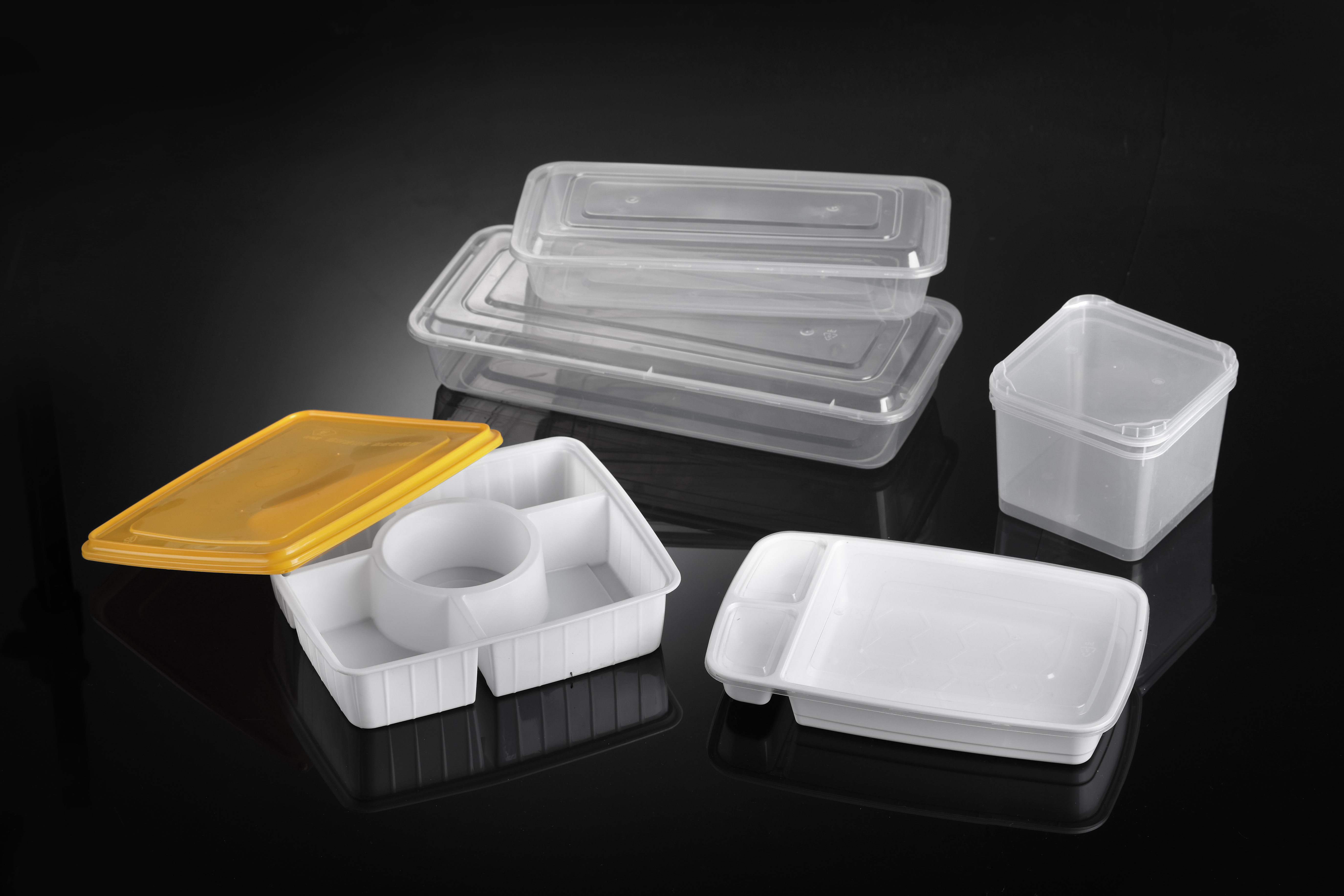Compartment Thin Wall Lunch Box Mould