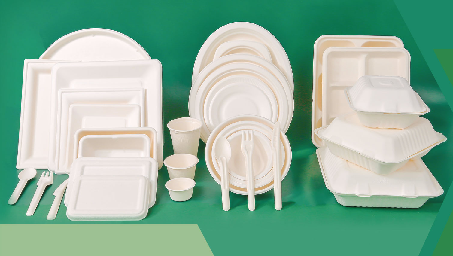 Biodegradable lunch box